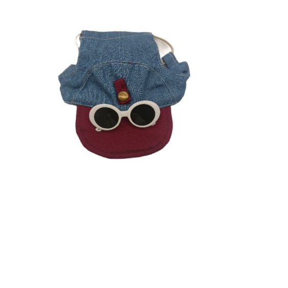 Red Brim With White Sunglasses Pet Sun Hat