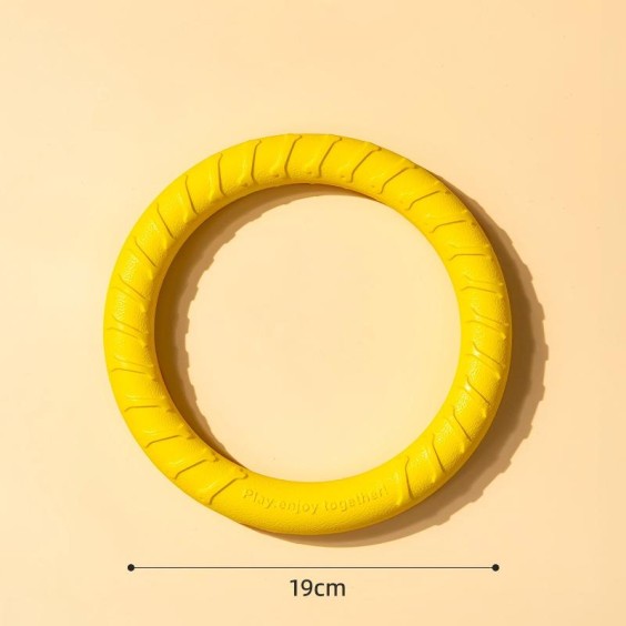 Ring Pet Toy
